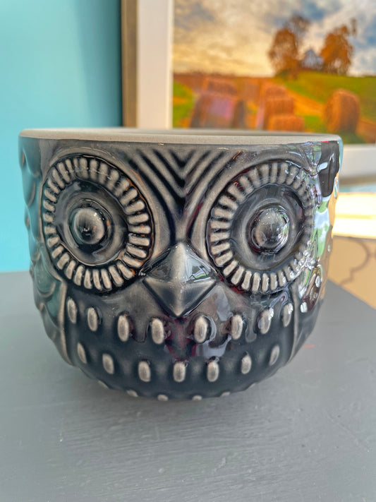 Decorative Stoneware Owl Container